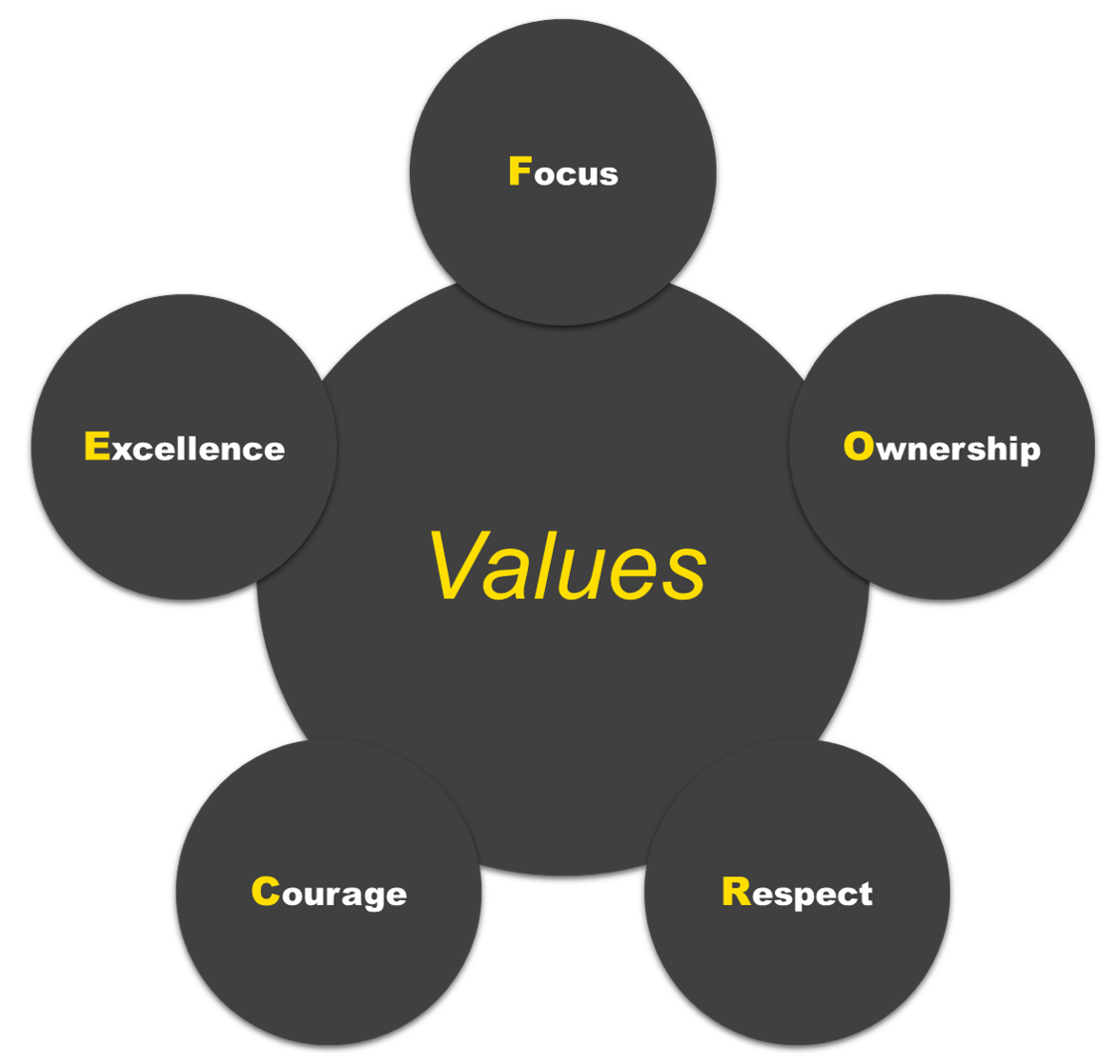 Our Company - Values